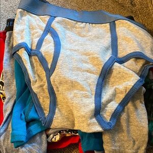 Cat & Jack Blue and Gray Men's Briefs